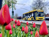 Imagine atasata: IMG_4511-compressed.jpeg